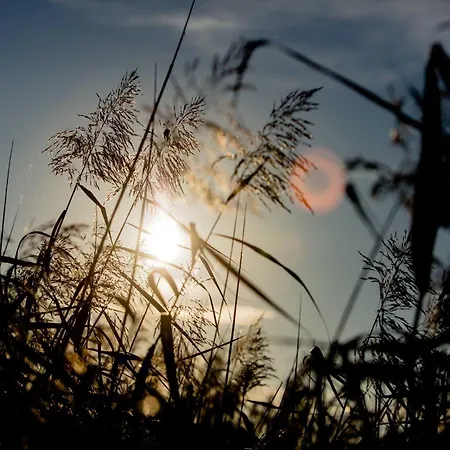 度假居 Ferienhaus 雷希林