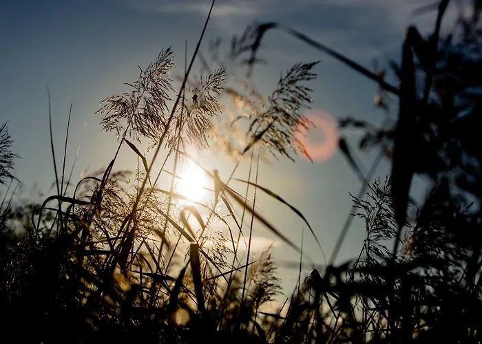 Сasa de vacaciones Ferienhaus Rechlin